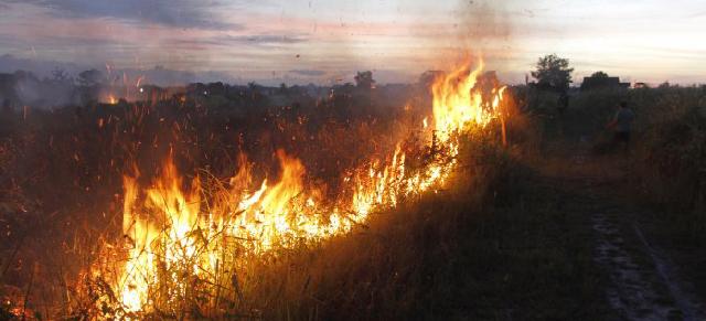 Buntut Foto Bareng Pengusaha Pembakar Hutan, Propam Polri Periksa Perwira Tinggi di Riau