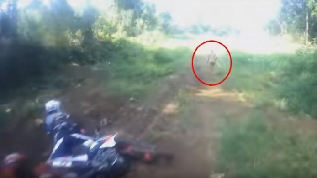 Penampakan manusia purba di pedalaman Aceh