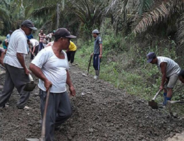 Pembangunan Jalan di Inhil Mudahkan Petani Angkut Hasil Panen