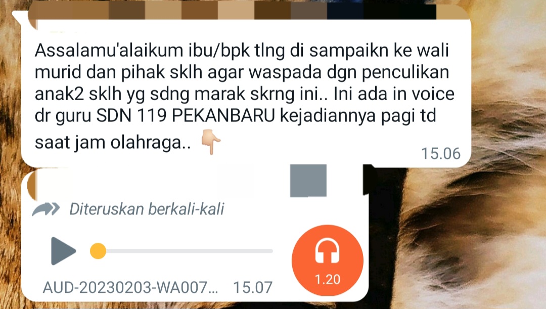 Kabar Upaya Penculikan Siswa di Pekanbaru Hoax, Polisi : Sudah Dicek, Situasi Baik-Baik Saja