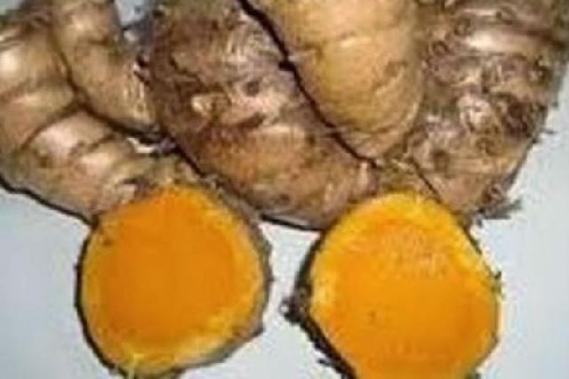 Inilah beberapa manfaat temulawak untuk kesehatan