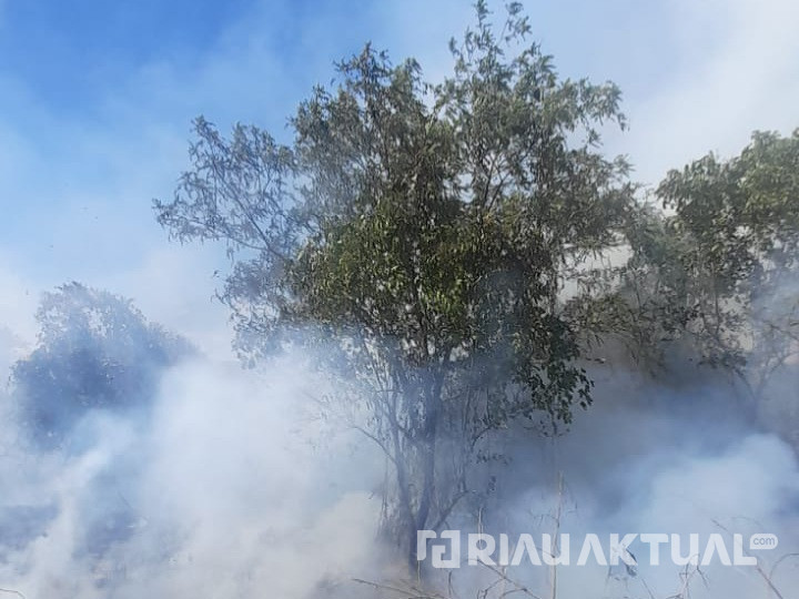 Padamkan Karhutla, BPBD Riau Ajukan Tambahan Heli Water Bombing ke Pusat
