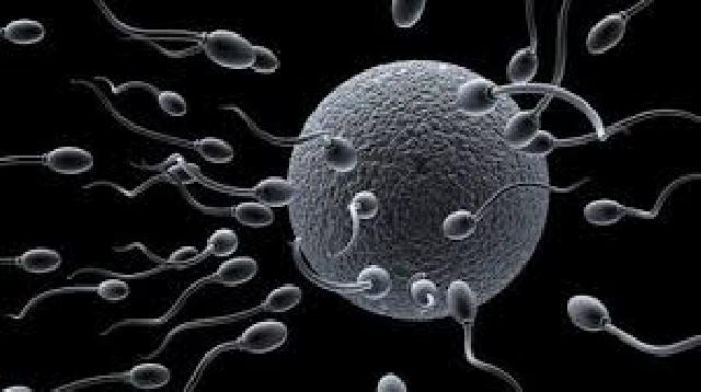 Dampak Bagi Tubuh Jika Sperma Tertelan