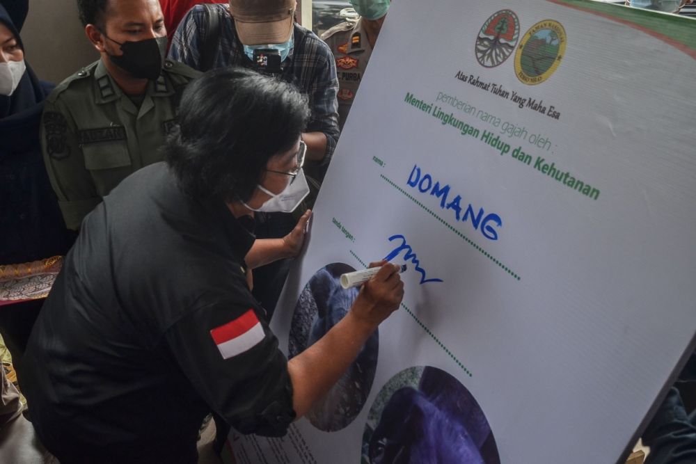 Menteri LHK Beri Nama Anak Gajah di Ukui Pelalawan
