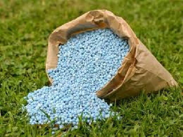 Distributor katakan Stok pupuk untuk musim tanam 2017 dipastikan aman