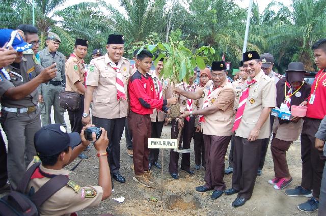 Wabup Rohil Tanam Ketapang di Bumi Perkemahan