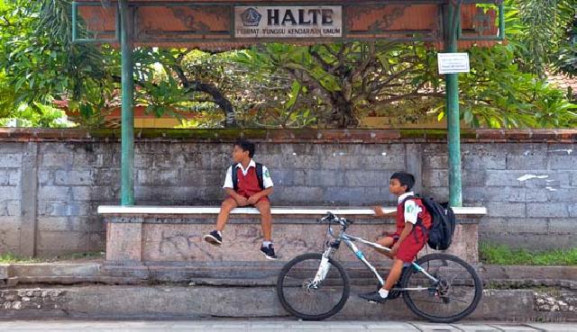 Tahun Ini Pemko Bangun 50 Halte TMP Baru