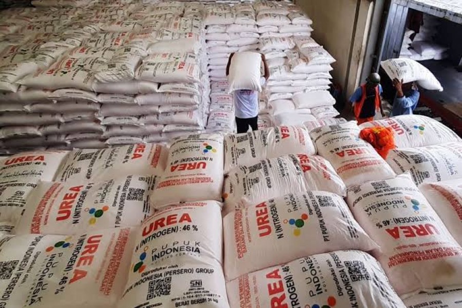 Impor Riau Didominasi Pupuk, Nilainya Capai USD 77,44 Juta di Triwulan I 2025