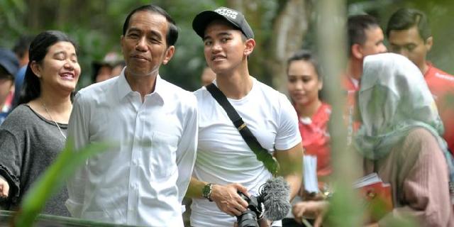 Ibu Kota pindah 2018, ini tanggapan Presiden Jokowi