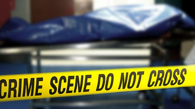 Novi Amelia Lompat dari Lantai 8 Apartemen Kalibata City, Tubuhnya Menimpa Mobil