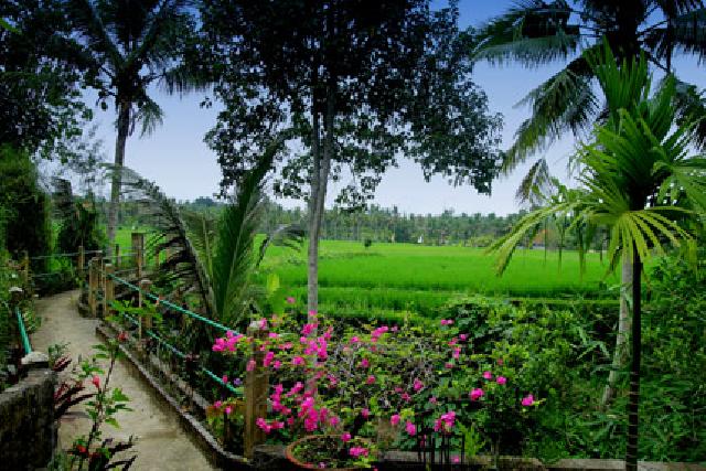 Pemkab Rohil Fokus Kembangkan Objek Wisata