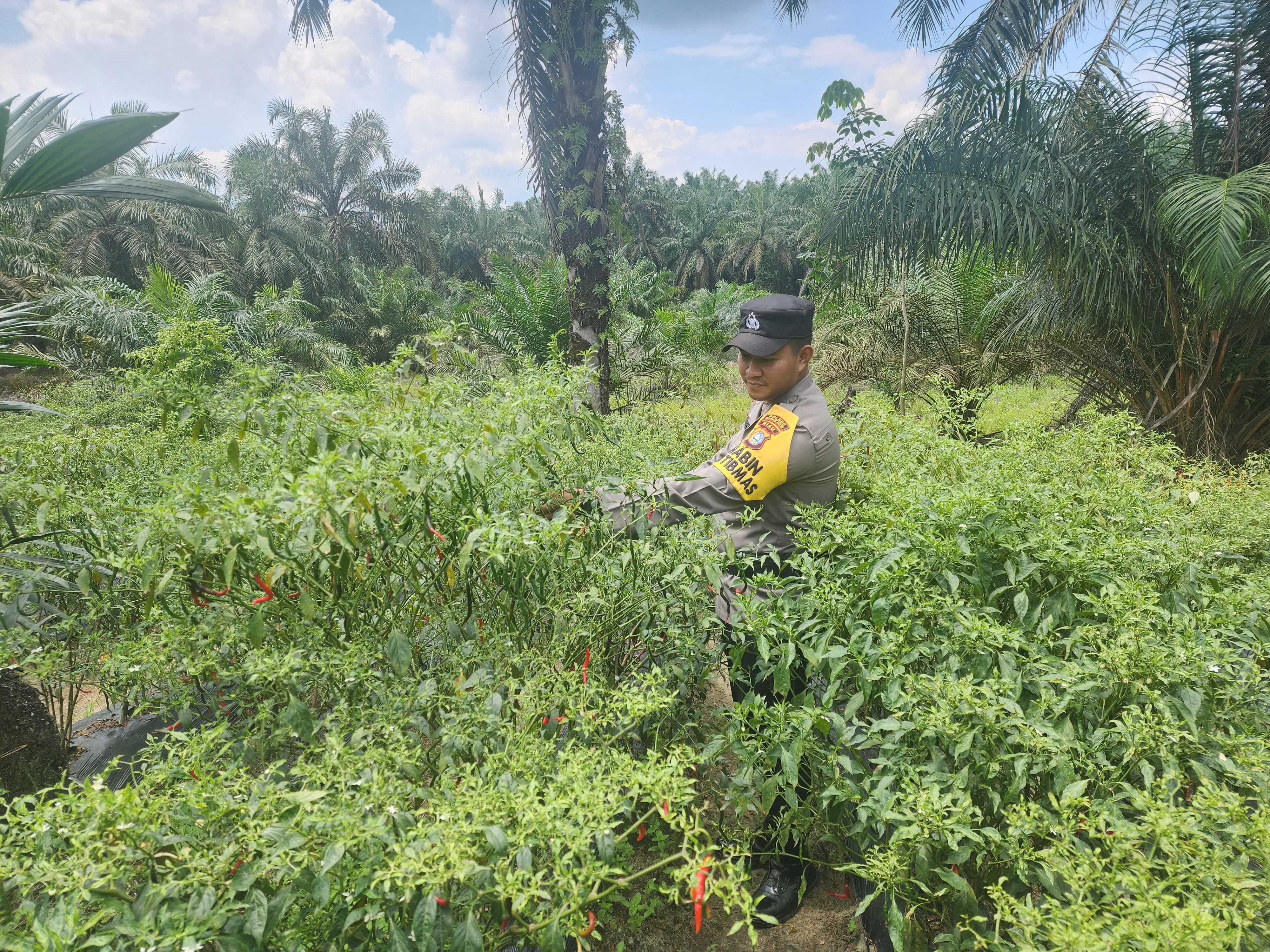 Polsek Bangko Pusako Dorong Ketahanan Pangan Melalui Program Asta Cita