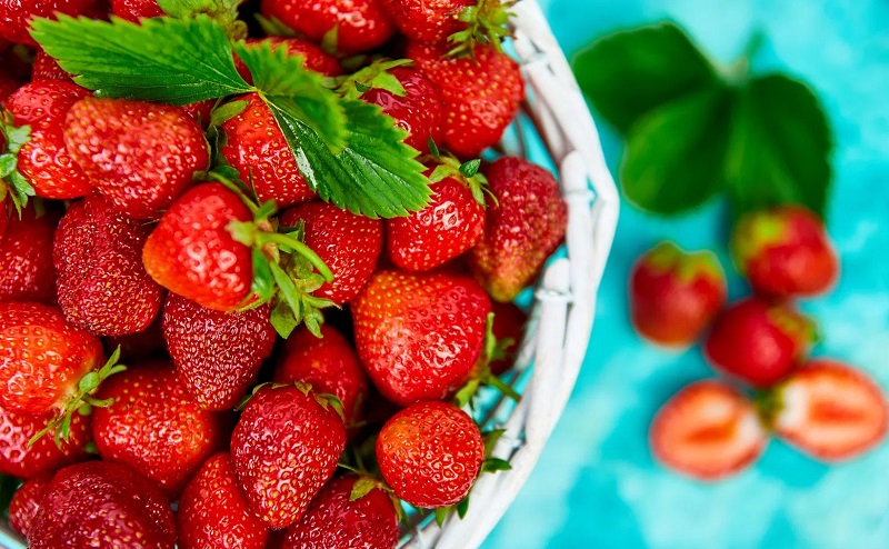 Penampakan Strawberry Raksasa yang Cetak Rekor Dunia