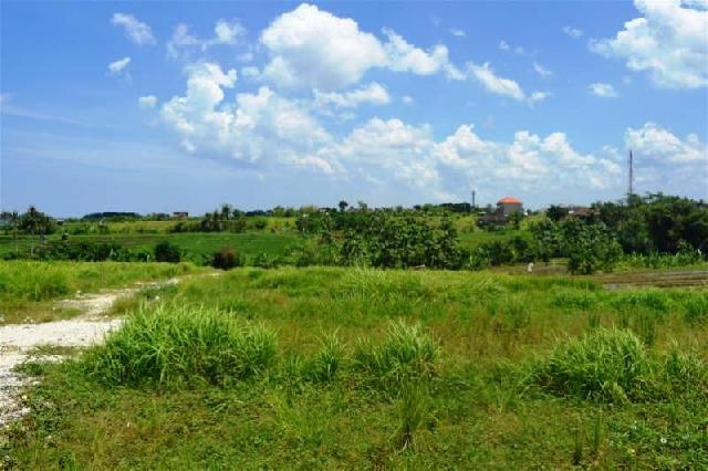 SPI Mandau Minta PT AA Bebaskan Lahan Masyarakat