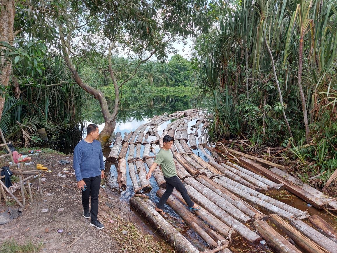 Polda Riau Bongkar 10 Ton Kayu Hasil Illegal Loging Dari Anak Jenderal
