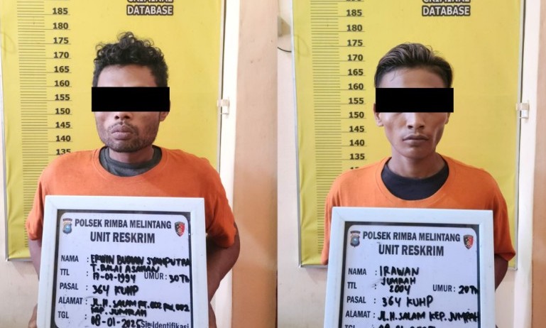 Kurang dari 24 Jam, Polsek Rimba Melintang Tangkap Dua Pelaku Pencurian Buah Sawit, Keduanya Positif Narkoba