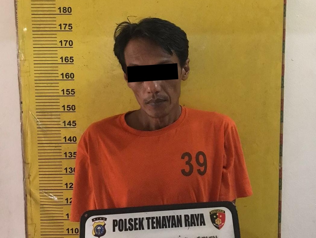 Curi CCTv Kebun Sawit di Pekanbaru, Pria 41 Tahun Diringkus Polsek Tenayan Raya