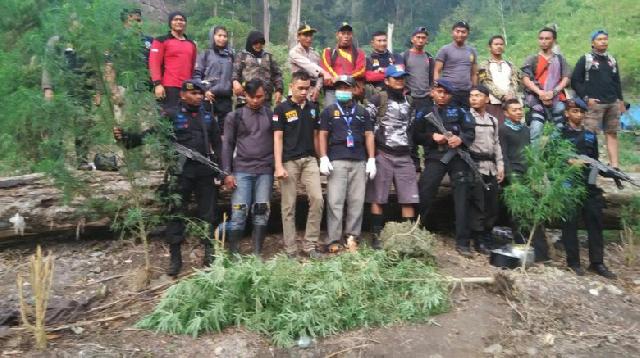 Polri dan BNN Temukan 15 Hektare Ladang Ganja di Pegunungan Aceh