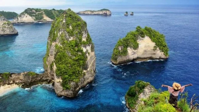 Intip Pesona Rumah Pohon Tree House Bali Nusa Penida