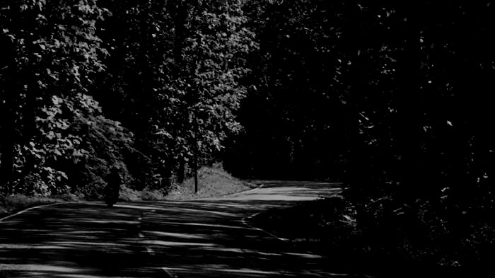 Pengalaman Misteri Melintas di Jalur Alas Baluran