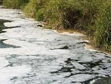 PT SIR dan PT Mondrat Diduga Buang Limbah Sawit ke Sungai Siak