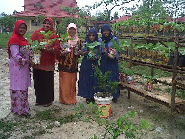 SMAN 14 Pekanbaru Panen Sayur Sehat Perdana Hasil Kebun Sekolah