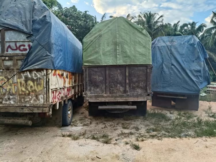 Empat Truk Pengangkut Kayu Ilegal Ditangkap di Kampar, Empat Tersangka Diamankan