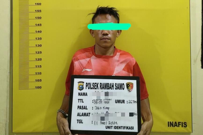 Jual Barang Curian Lewat Situs Online, Pencuri Modus Bobol Rumah Ditangkap