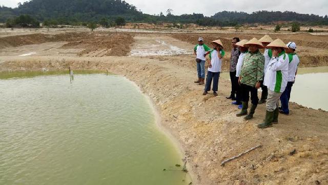 Kunjungi Belitung, Pimpinan MPR Sambangi Eks Lahan Tambang Timah di Bangka