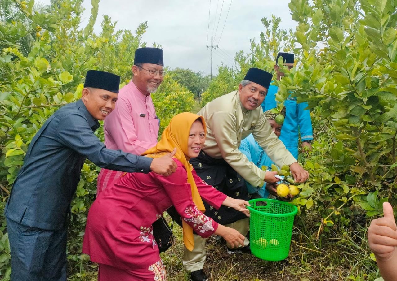 Mengantor di Kampung Pedada, Bupati Alfedri Pakai Sepeda Motor Memanen Buah Lemon
