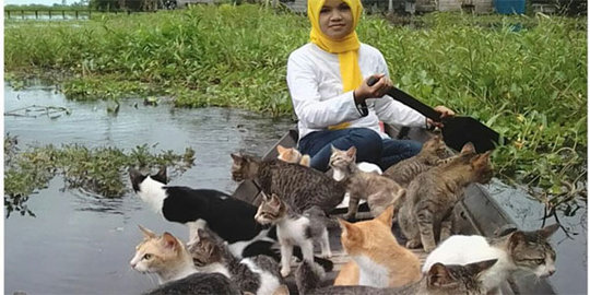Welia Iyah, Wanita Yang Sudah Rawat Hampir 500 Kucing
