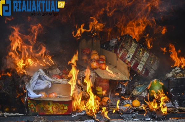 Foto Pemusnahan Komoditas Asal Malaysia dan Singapura