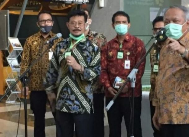 Cara Kerja Minyak Kayu Putih yang Diklaim Ampuh sebagai Anti Virus Corona