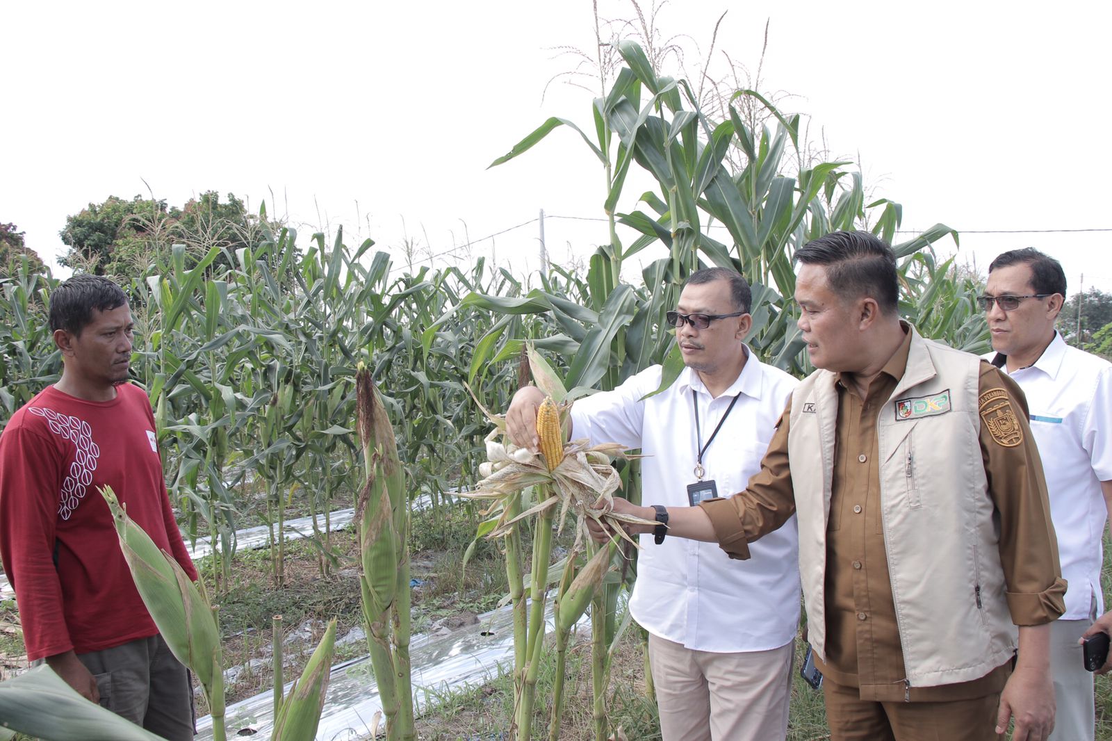 Disketapang Pekanbaru Dorong Hilirisasi Hasil Pertanian Lokal