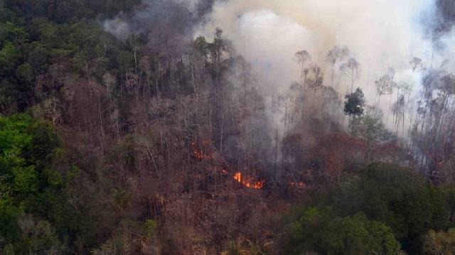 Riau Kembali Buka Posko Siaga Darurat Asap  