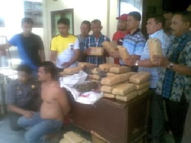 41 Kg Ganja Kering Berhasil Diamankan Polisi