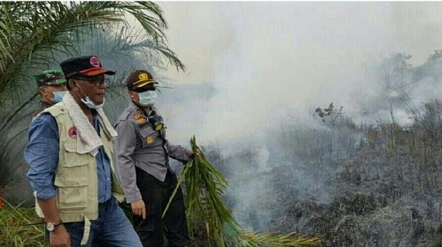 Langkah Pemkab Rokan Hilir Melawan Karhutla