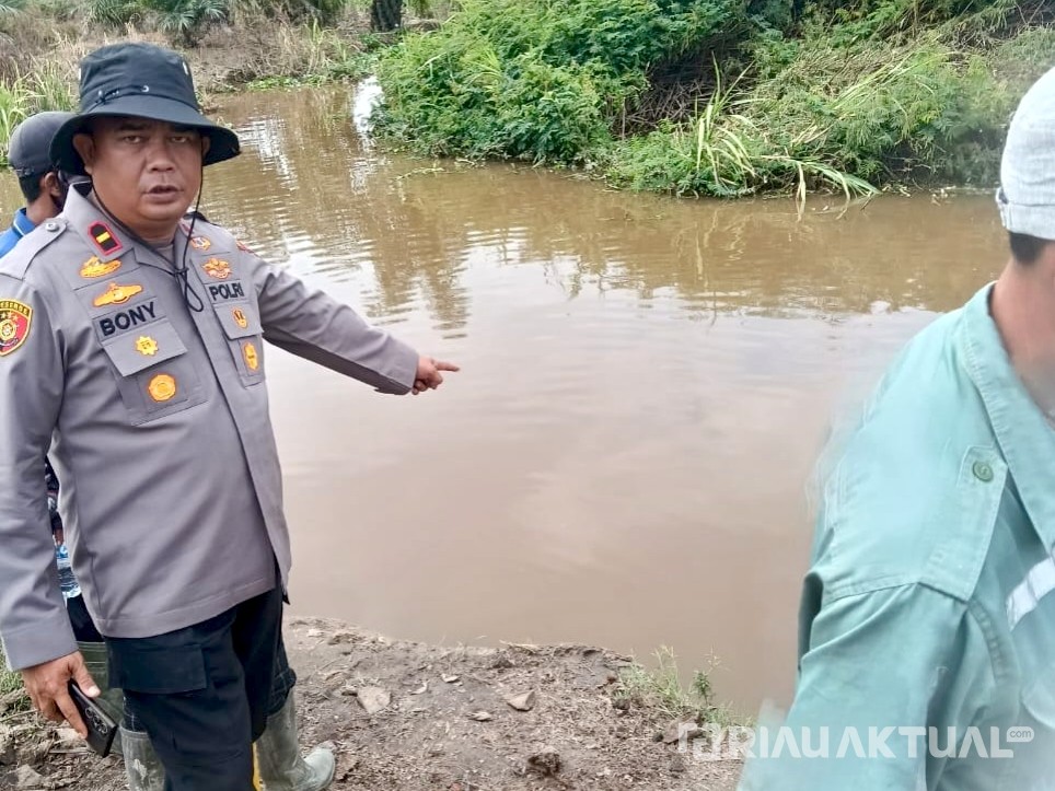 Hilang Misterius, Warga Rohil Diduga Diterkam Buaya di Sungai Rokan