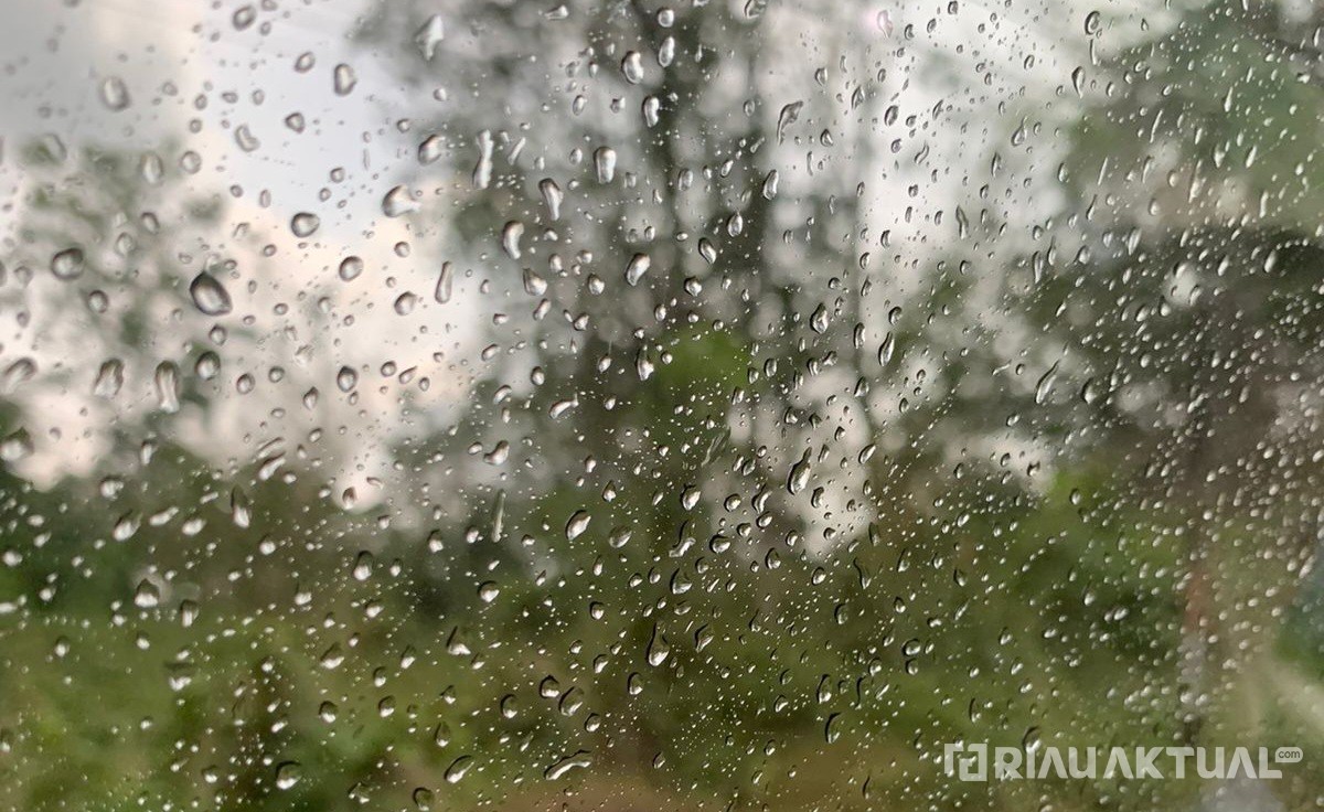 Hujan Guyur Riau Sepanjang Hari, BMKG Ingatkan Potensi Petir dan Angin Kencang