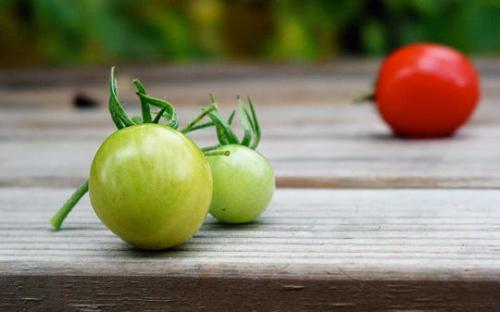 Ini 5 Bahan Masakan yang Bisa Jadi Penyedap Rasa Alami, Tak Perlu Micin!