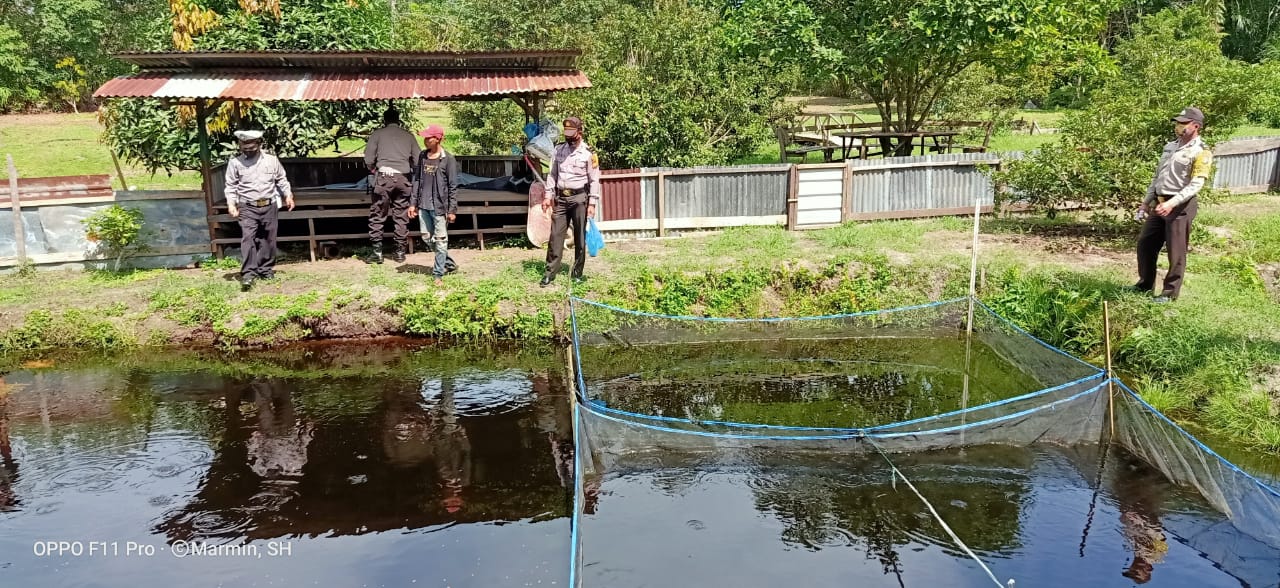 Jaga Ketahanan Pangan, Polsek Pangkalan Kuras Kontrol Budidaya Ikan dan Tanaman 