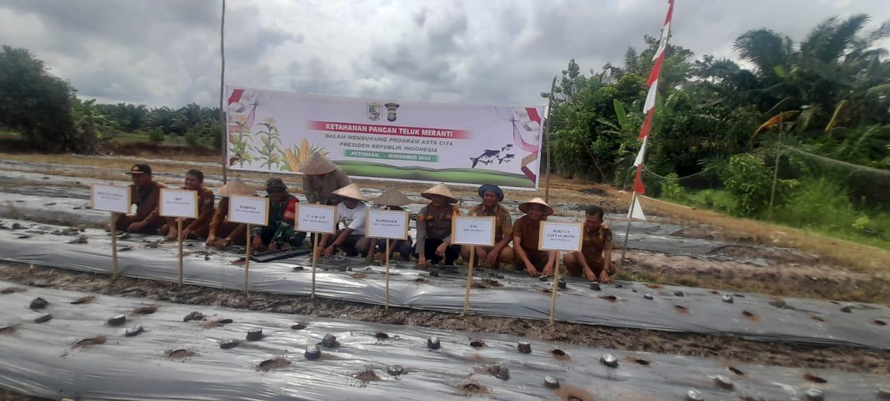 Polsek Teluk Meranti dan Masyarakat Tanam Bibit Palawija Demi Ketahanan Pangan