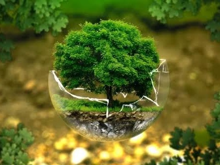 Undang Stakeholder, PDAM Tirta Siak Pekanbaru Kampanyekan Dampak Lingkungan dan Kesehatan Penggunaan Air Tanah