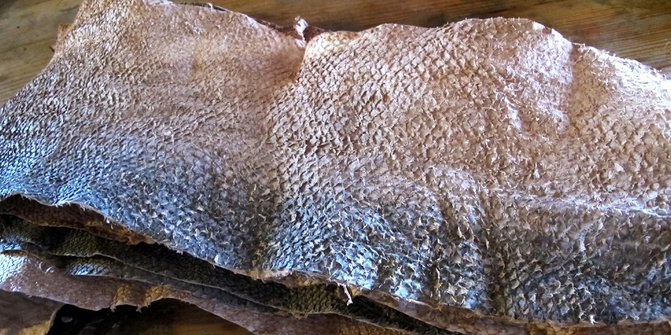 Sejumlah Dampak Luar Biasa yang Bisa Diperoleh dari Kulit Ikan