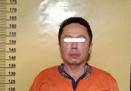 Otak Pelaku Pemotongan 83 Pohon Median Jalan Pekanbaru Terungkap