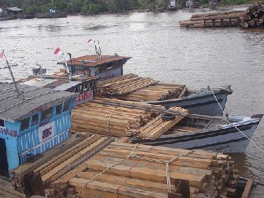 Polisi Amankan Kapal Pengangkut 1.900 Batang Kayu