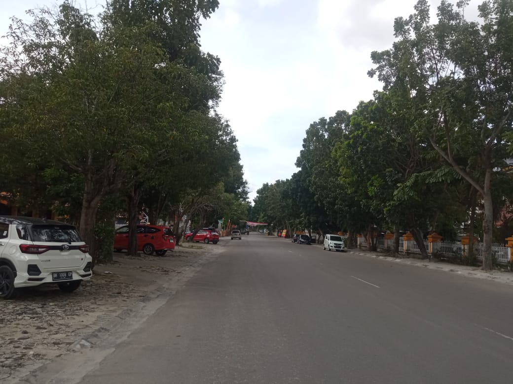 Potong Pohon Pelindung, Begini Sanksi Dari DLHK Pekanbaru