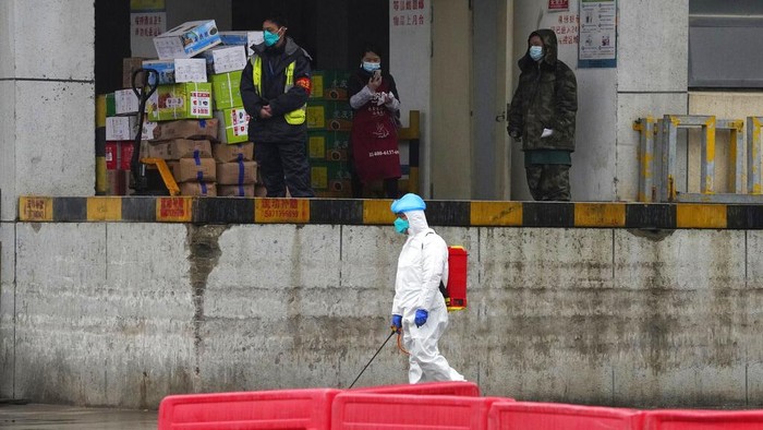 Tak Ada Kelelawar yang Dijual di Pasar Wuhan, Lantas dari Mana Asal Usul Corona?