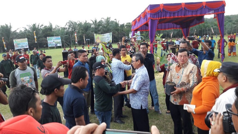 Meski Telah Meraih Adipura, DLH Kuansing, Terus Berupaya Lakukan Penghijauan di Kuansing