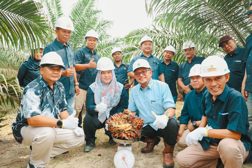 1.597,82 Ha Tanaman Sawit Muda PTPN IV Regional III Masuki Masa Panen